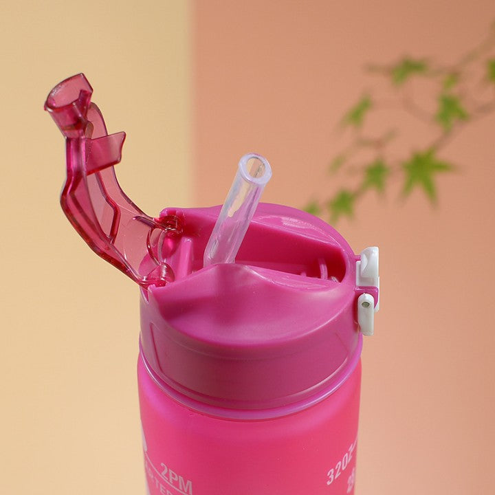 3-Pack Motivational Bottles (2L/1L/500ml) 💧 BPA-Free & Leakproof 🕒